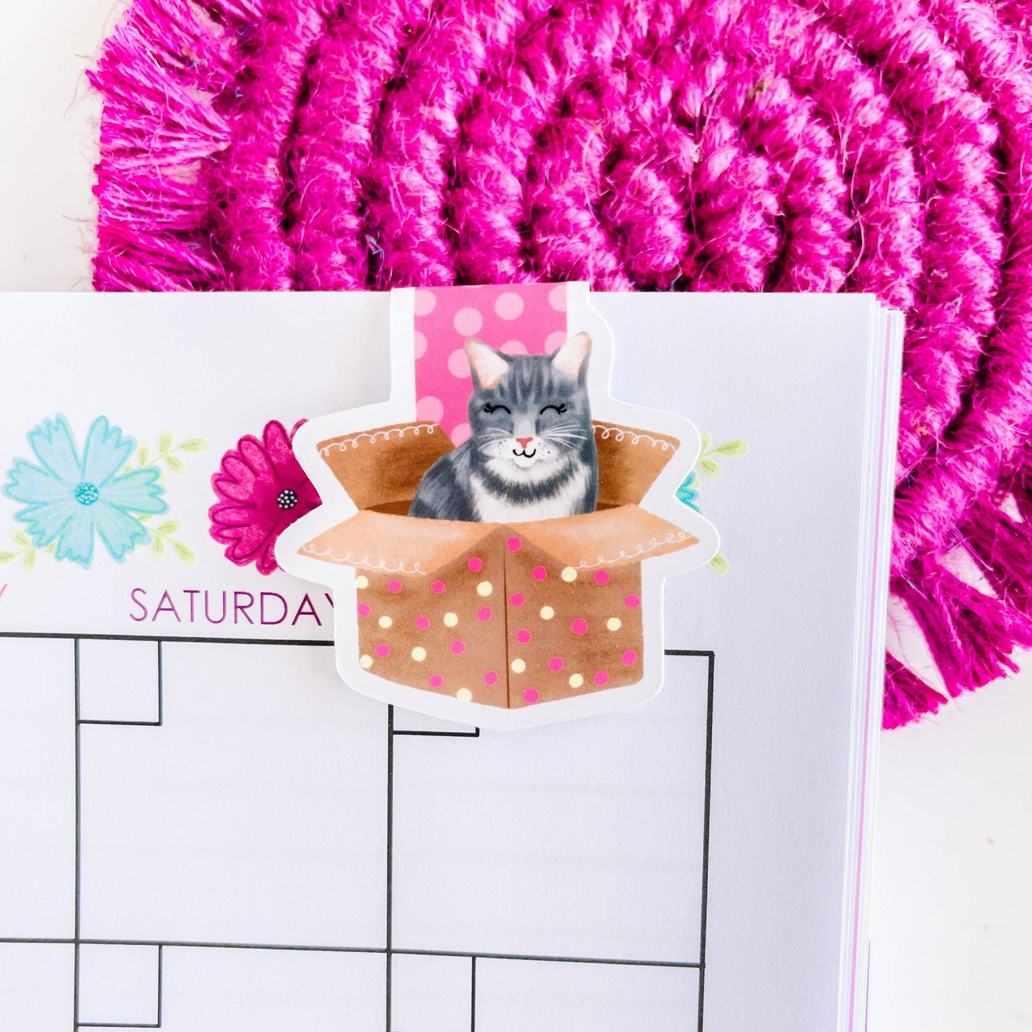 Kitty in a Box Magnetic Bookmark: Default Title